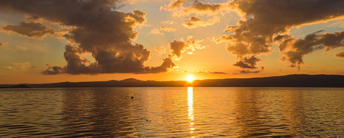 foto larga - 2026-01-16T173720.815