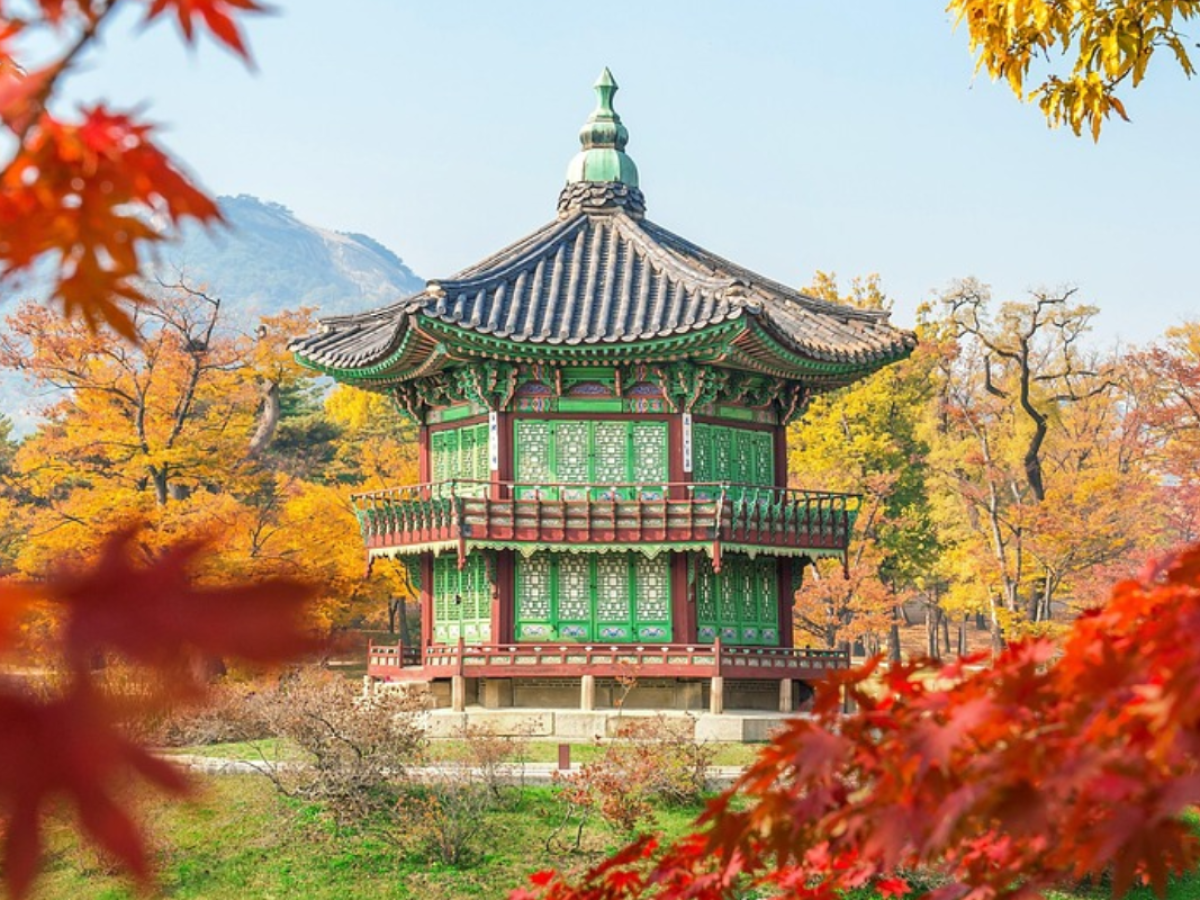 Corea del Sud: il viaggio dove il passato incontra il futuro