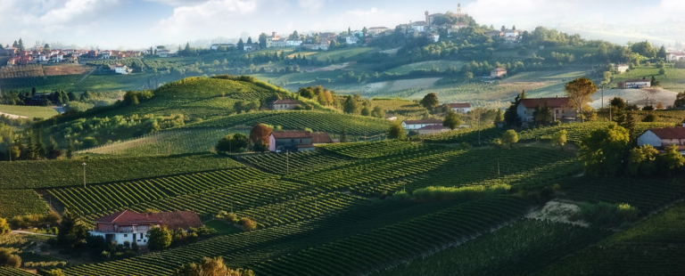 colline del Monferrato
