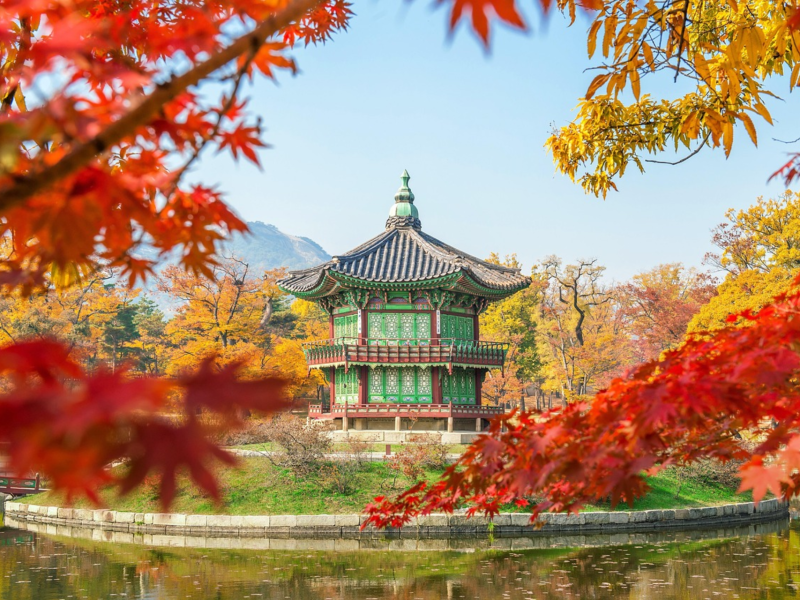 Corea del Sud, il viaggio dove il passato incontra il domani